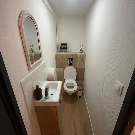 Le Grand Stanislas Appartement Nancy